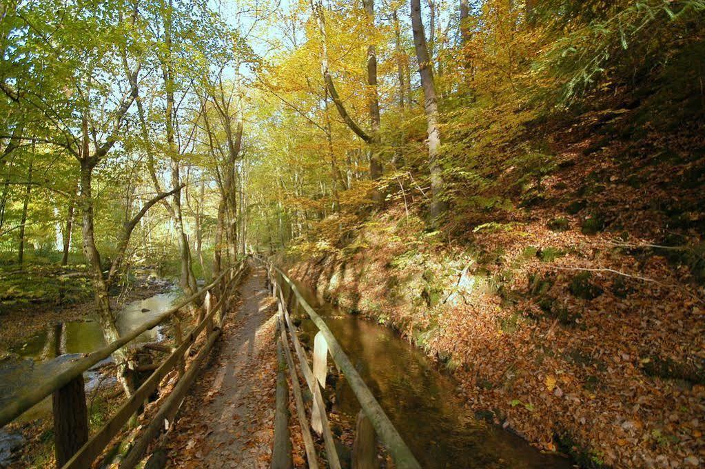 Waldhotel Im Wiesengrund Hürtgenwald Dış mekan fotoğraf